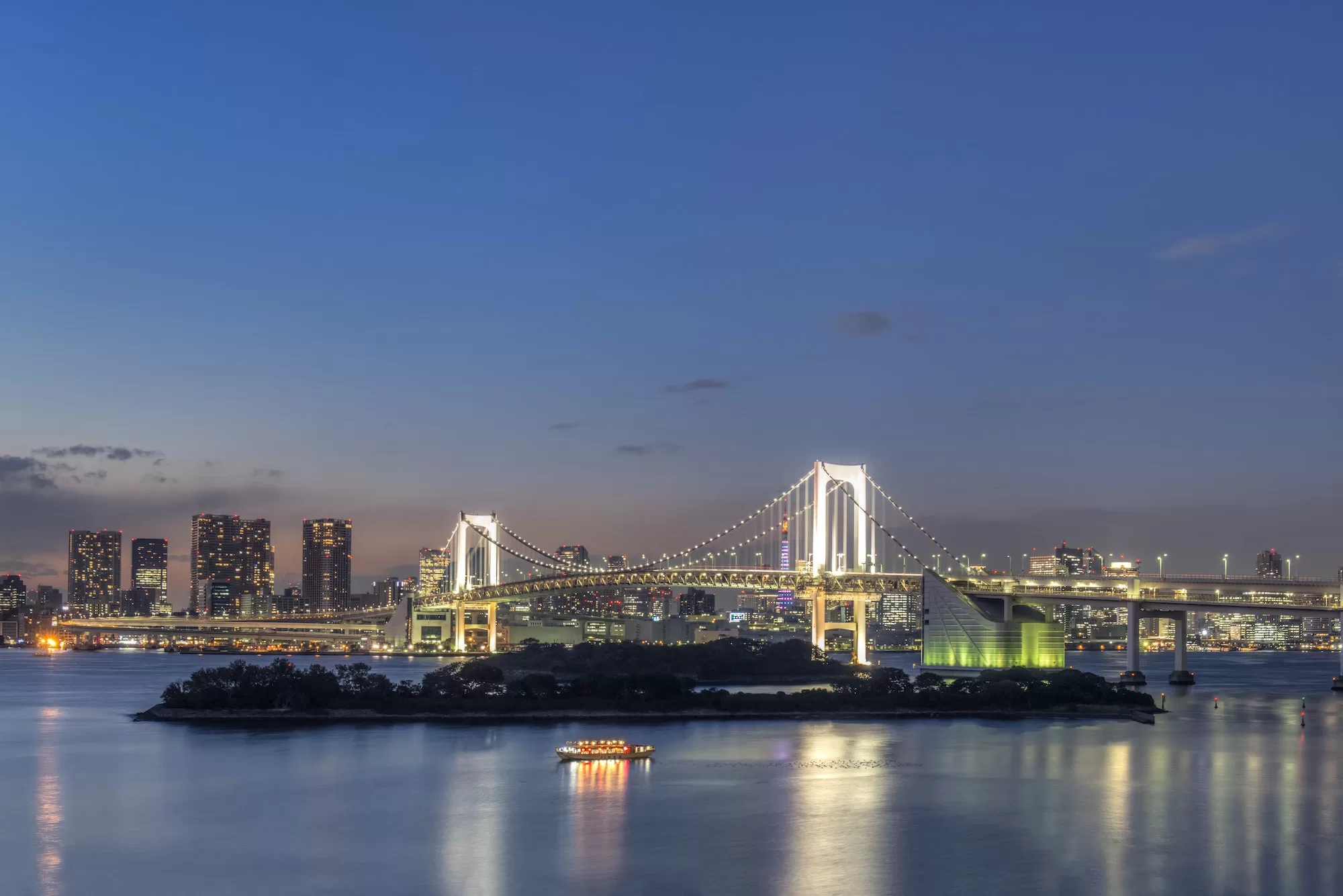 54971,Tokyo city skyline lit up at night, Tokyo, Japan