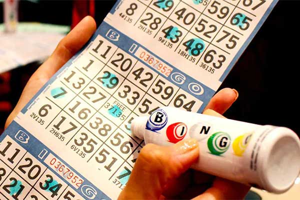 Bingo