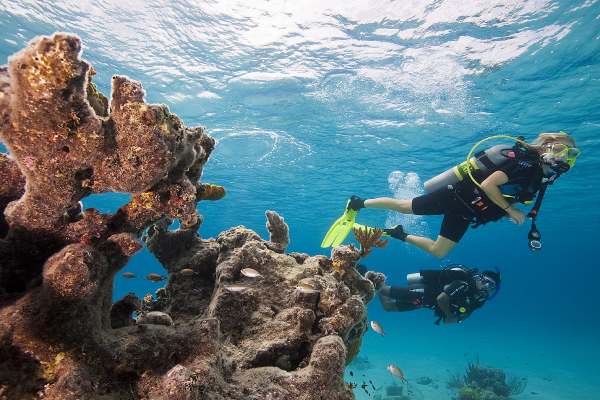 Scuba Certification