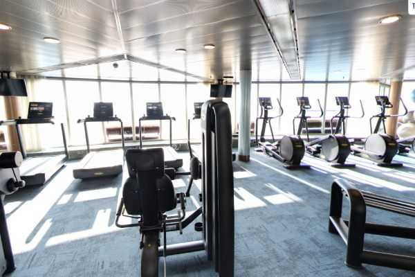 The Gym and Fitness Studio